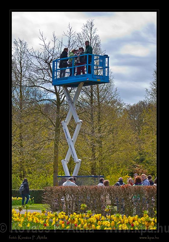 Keukenhof Hollandia 020.jpg